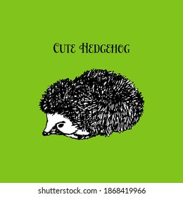A black-and-white hedgehog drawn with a pen. Sketch portrait. Doodle style. An animal from the forest. Vector illustration for web design or print.