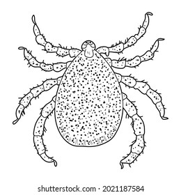 A black-and-white image of a tick. Vector illustration. Forest insect
