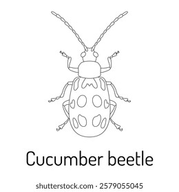 Black-and-white line art of a cucumber beetle. Perfect for scientific studies, coloring books, educational materials, and entomology-related projects.