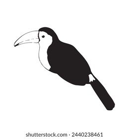 Black-and-white pen-and-ink illustration of a toucan.