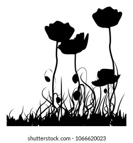 black-and-white poppies vector