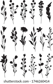 Black-and-white set of elongated plant elements for decoration of fabrics, office, various printed products, invitations, postcards