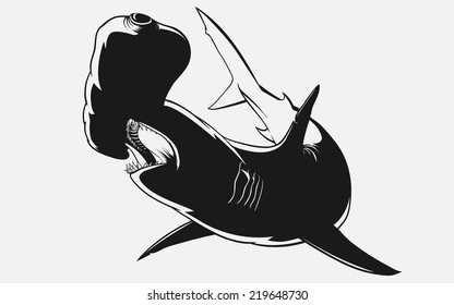 black-and-white shark hammerhead