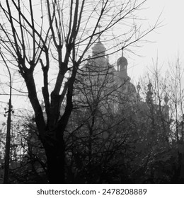 The black-and-white silhouette of bare trees with intricate branches against the backdrop of a historic building. The leafless trees create a stark contrast, highlighting the architectural details.