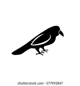 Black-and-white silhouette of a crow, blackbird and a jackdaw standing on the feet. Visible head, beak, wings, tail, paws.
