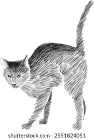 Um esboço em preto-e-branco de um gato com linhas tracejadas, com as costas arqueadas, a cabeça abaixada e a cauda levantada à medida que se sente ameaçado.