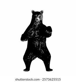 A black-and-white vector of a bear standing upright in a frontal view. The posture conveys a sense of alertness.