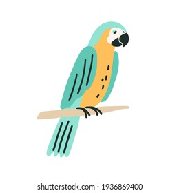 Black-and-yellow macaw sitting on tree branch. Colorful ara with bright feathers. Exotic bird with long tail. Colorful flat vector illustration of parakeet isolated on white background