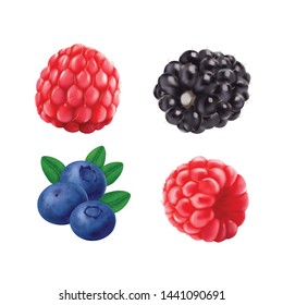 Blackberries blueberries and raspberries isolated on white background. 3d vector Realistic Berry icon set