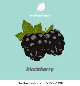 Blackberries color icon. Cartoon style for web and mobile design