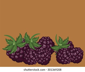 Blackberries delicious dessert. Vector 