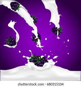 Blackberries Falling Into The Milky Splash. Vector Illustration.