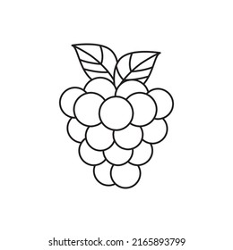 Blackberries icon in line style icon, isolated on white background