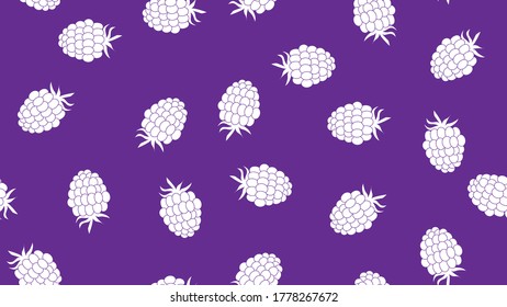 Blackberries on a purple background. Vector illustration. Fresh. Nature. Natural.