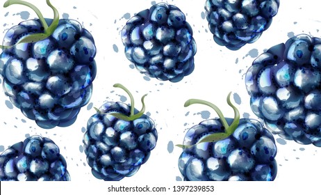 Blackberries Pattern Background Vector Watercolor. Summer Delicious Fruits Card