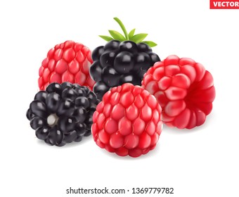 Blackberries and raspberries isolated on white background. 3d vector Realistic illustration. Berry icon