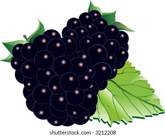 blackberry