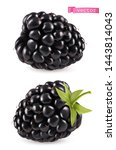 Blackberry, 3d realistic vector icon