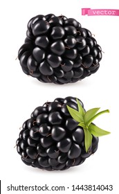 Blackberry, 3d Realistic Vector Icon