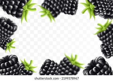 Blackberry background. Flying blackberry with green leaf on transparent background. Blackberry falling from different angles. Focused and blurry objects. 3D realistic vector.