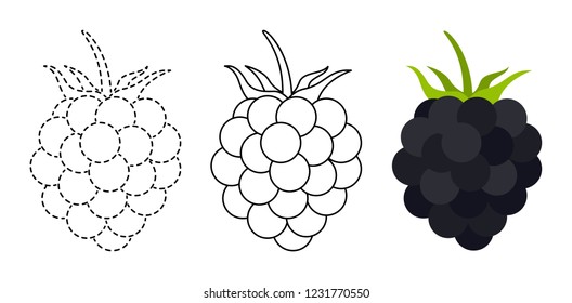 Blackberry to be colored and trace line educational game for kids