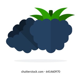 Blackberry berries with leaves vector flat material design isolated on white