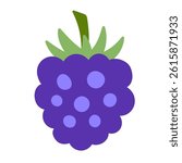 Blackberry berries vector illustration. Hand drawn colorful design element clip art in modern cute flat style. Organic vegan food drawing isolated on white background