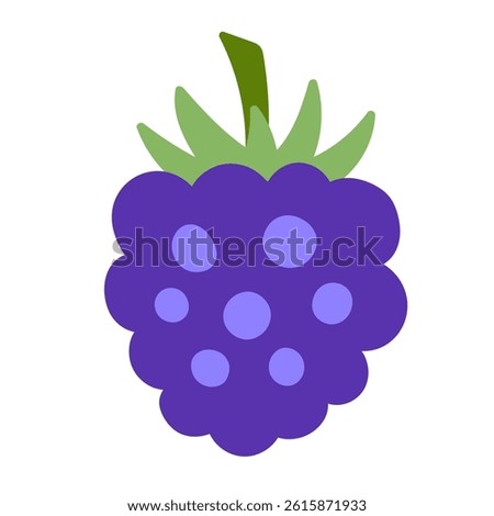 Blackberry berries vector illustration. Hand drawn colorful design element clip art in modern cute flat style. Organic vegan food drawing isolated on white background