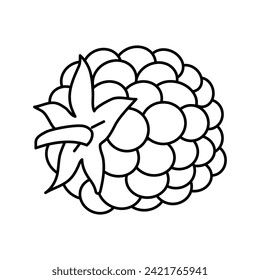 blackberry berry leaf line icon vector. blackberry berry leaf sign. isolated contour symbol black illustration