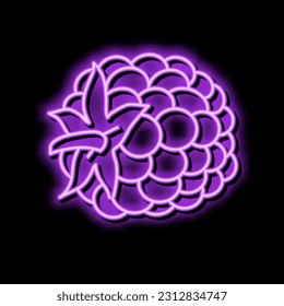 blackberry berry leaf neon light sign vector. blackberry berry leaf illustration