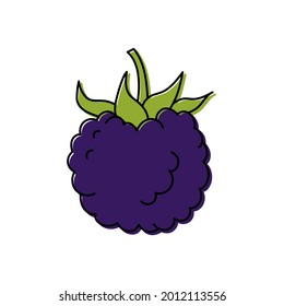 Blackberry. Berry sketch. Color food icon. Vector illustration isolated on white background