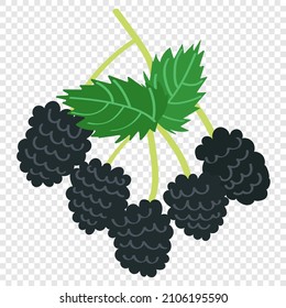 Blackberry - black tasty berries, vector cartoon flat icon isolated on transparent background. Summer product with vitamin C for a healthy lifestyle.