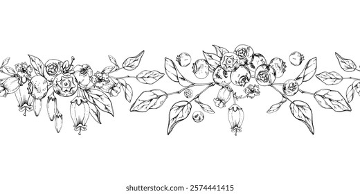 Blackberry blueberry with white bell flowers, plant leaves, hand drawn in ink vector, forest berry on branches. Seamless banner garland illustration for restaurant, cafe menu, wedding, farmers market