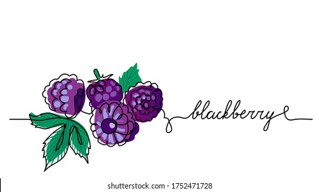 Blackberry, bramble, dewberry, vector color illustration, background. Black berry sketch for label design. One continuous line drawing of bramble with lettering. Editable black stroke.