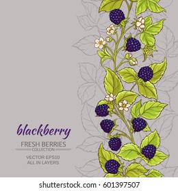 blackberry branches vector pattern on color background