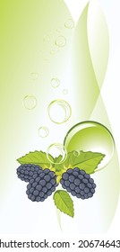 Blackberry and bubbles on the abstract background. Vector
