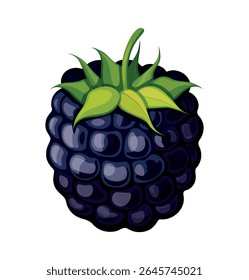 Blackberry in cartoon style. Vector illustration of tasty, sweet blackberries with green stems, isolated on white background. Healthy snacks. Summer berries. Seasonal nutritious berries.