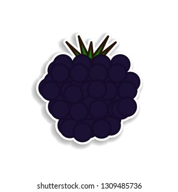 blackberry colored sticker icon. Elements of fruit in color icons. Simple icon for websites, web design, mobile app, info graphics