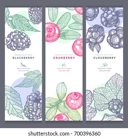 Blackberry, cranberry, cloudberry design template. Engraved wild berries with leaves. Vector hand-drawn illustration on white background.