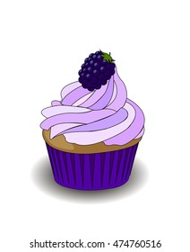 Blackberry cupcake with berry. Purple violet blackberry cream with paper case. Cupcake vector isolated vector illustration with gradient shadow