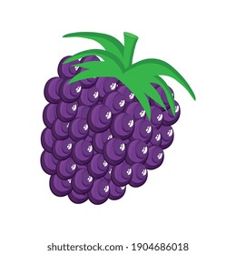 Blackberry Delicious Fresh Fruit Nature Icon Vector Illustration Design