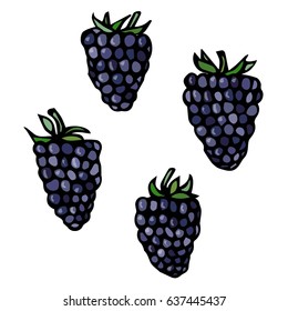 BlackBerry Doodle Style Vector Sketch, Isolated on White Background.