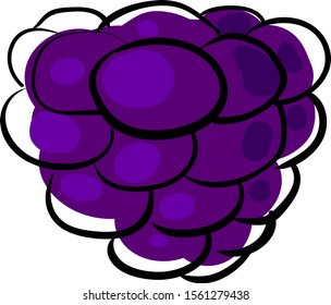 Blackberry drawing, illustration, vector on white background.