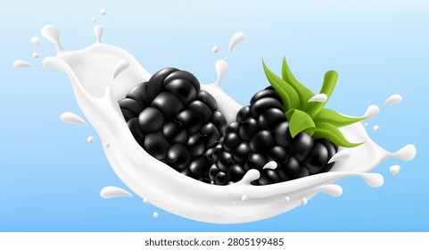 Blackberry falling in milk or yogurt splash with liquid droplets, isolated on a blue background for food design and healthy breakfast concept. Realistic 3d vector illustration