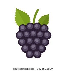 Blackberry flat style vector illustration. Fresh berry on white background.