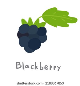 Blackberry. Flat vector hand drawn illustration on white background.