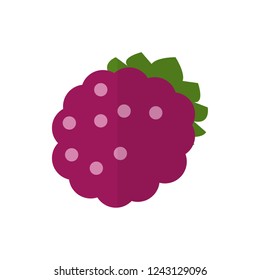 blackberry flat vector icon