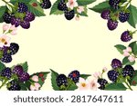 Blackberry frame on a light background.Vector illustration with a beautiful frame of blackberries on a light background.
