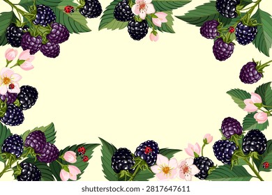 Blackberry frame on a light background.Vector illustration with a beautiful frame of blackberries on a light background.