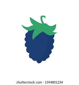 Blackberry fresh fruits vector illustration isolated on a white background